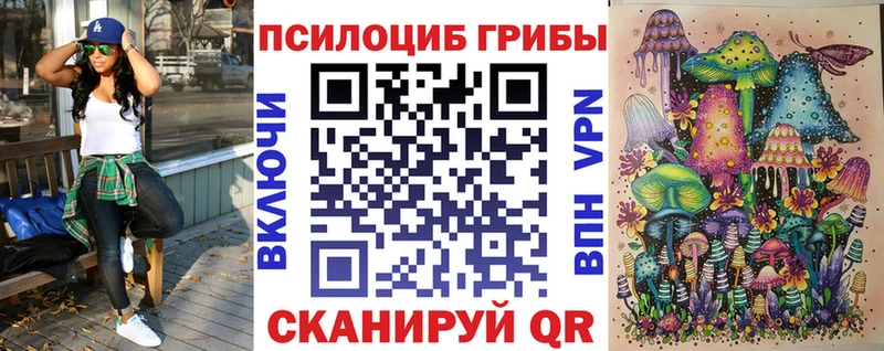 OMG ССЫЛКА  Советская Гавань  Галлюциногенные грибы MAGIC MUSHROOMS  наркошоп 