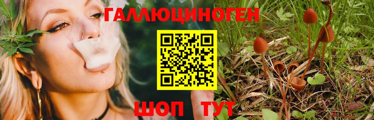 Советская Гавань  Псилоцибиновые грибы GOLDEN TEACHER  Вход с VPN 